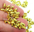 Pérola Gota Dourada 10mm Pct com 100 Peças ref.5103 - comprar online