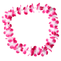 COLLARES HAWAIANO TELA