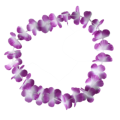 Imagen de COLLARES HAWAIANO TELA