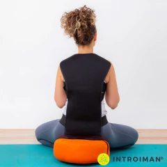 Multi Espaldar Magnético Introiman Alivia toda la columna