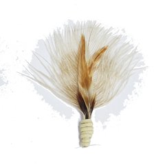 APLIQUE PLUMAS BEIGE
