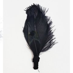 APLIQUE PLUMAS NEGRO - comprar online