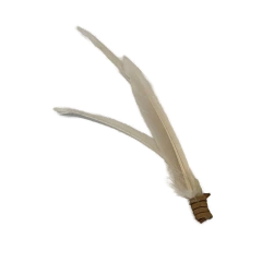 Imagem do Arreglo de plumas