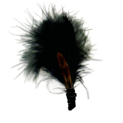 Arreglo de plumas
