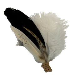 Arreglo de plumas na internet