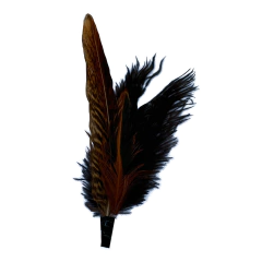 Arreglo de plumas - Compania de Sombreros