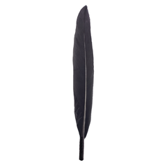 Media Pluma Duck - comprar online
