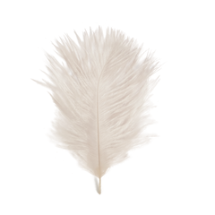 Base Pluma Belis - comprar online