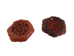 Gloomhaven - Spike Pit Trap