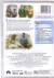 DVD TOM HANKS É FORREST GUMP O CONTADOR DE HISTÓRIAS [12] - comprar online
