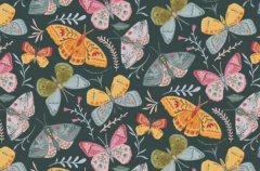 Combo estuches sobre y pouch - comprar online