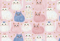 Combo estuches sobre y pouch