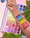 Plouise Paleta AM-PM en internet