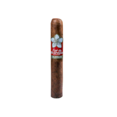 Joya de Nicaragua Flor Colorado Robusto