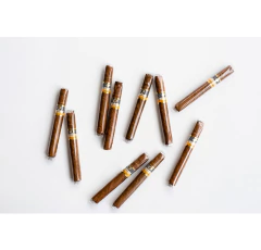 Cohiba Short 10 en internet