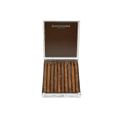 Guantanamera Mini 20 - comprar online