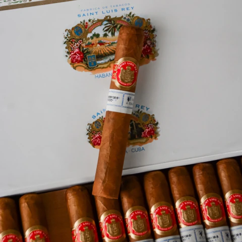 Saint Luis Rey Regios
