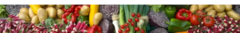 Banner da categoria Outros