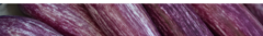 Banner da categoria Beringelas e jilós
