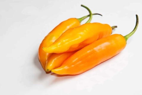 Aji Amarillo Do Peru - Aji Cristal - Capsicum baccatum