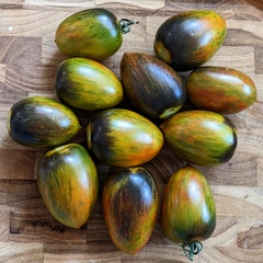 Tomate Atomic Grape - Um dos mais lindos do mundo!!