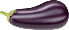 Berinjela Roxa Comprida - Sementes na internet