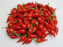 Pimenta Biquinho Vermelha - Todo o sabor, zero ardência!!