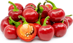 Pimenta de Bode Vermelha - Capsicum annuum