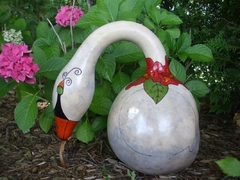 Cabaça Cisne - Lagenaria siceraria na internet