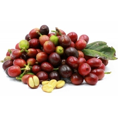 Café Arábica Resistente aseca - comprar online