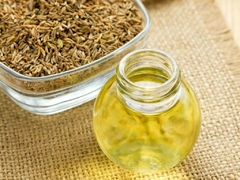 Caraway - Alcaravia - Carum carvi - Erva