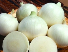 Cebola Espanhola Branca Doce na internet
