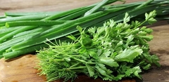 Cheiro Verde - Salsinha + Cebolinha