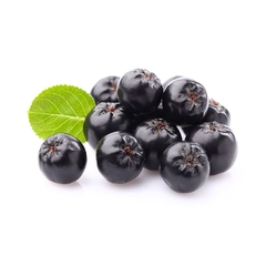 Blueberry Gigante - Chokeberry - Aronia Melanocarpa