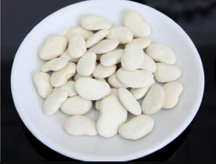 Fava Branca - Phaseolus vulgaris