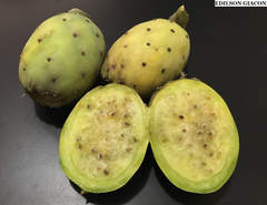 Figo da India de Polpa Branca - Opuntia ficus indica