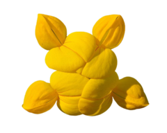Lotus Corniculatus - Loto - Cornichão - Pasto Apicola - Flor na internet