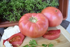 Tomate Polonês MALINIAK - Raro e delicioso!! - comprar online