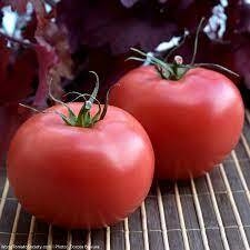 Tomate Polonês MALINIAK - Raro e delicioso!!