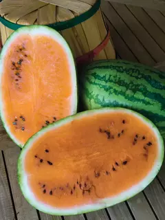 Melancia Laranja na internet