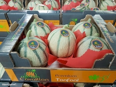 Melão Cantaloupe Charentais Variedade Da França - Sementes - Plantamundo
