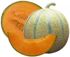 Melão Cantaloupe Charentais Variedade Da França - Sementes - comprar online