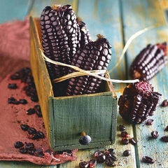 Milho Roxo Peruano - Milho preto - comprar online