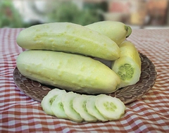 Pepino Branco
