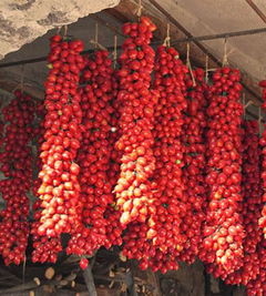 Imagem do Combo de Tomates do Vesúvio - Pomodoros Vesuvianos