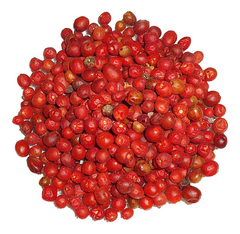 Pimenta Comari - Pimenta de Passarinho - Capsicum sp
