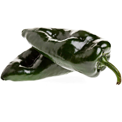 Pimenta Poblano Ancho - Chile Ancho - Capsicum annuum - comprar online
