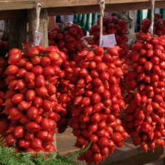 Tomate Principe Borghese - Tomate Italiano do Vesúvio - Pomodoro Vesuviano - comprar online
