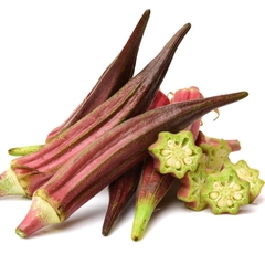 Quiabo Roxo - Quiabo Vermelho - Okra Red