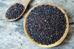 Quinoa Preta - Chenopodium quinoa